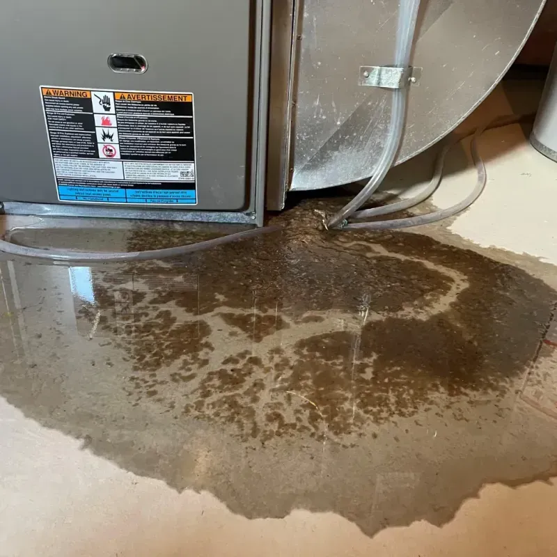 Appliance Leak Cleanup in Steuben County, IN